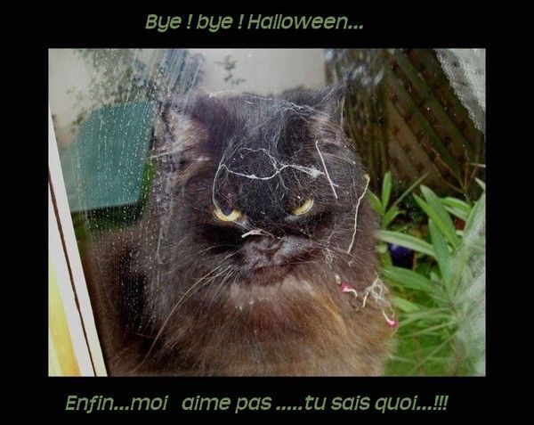 Fini..Halloween