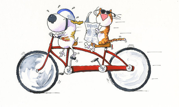 et le vélo