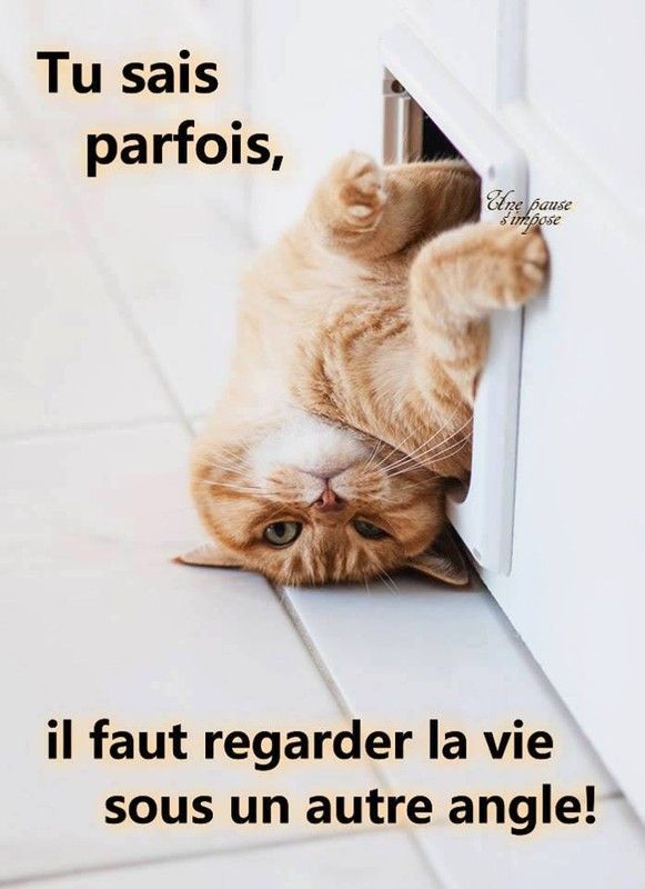 voir la vie