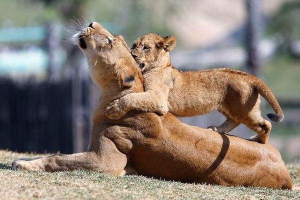 lâche pas maman..hi.hi..