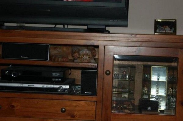 Trouvez le chat