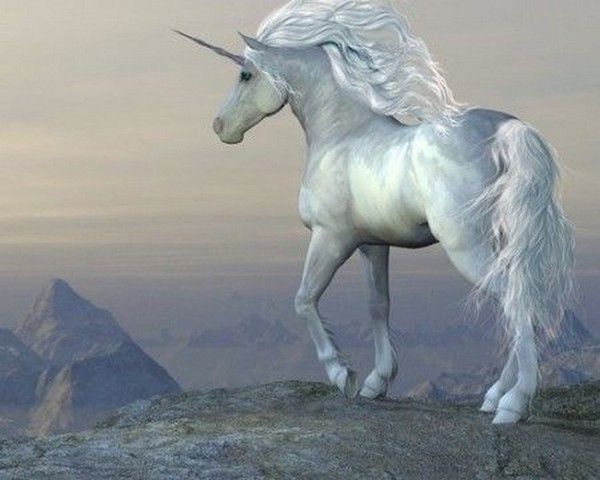 licorne