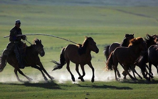 Cowboy en plein raid....