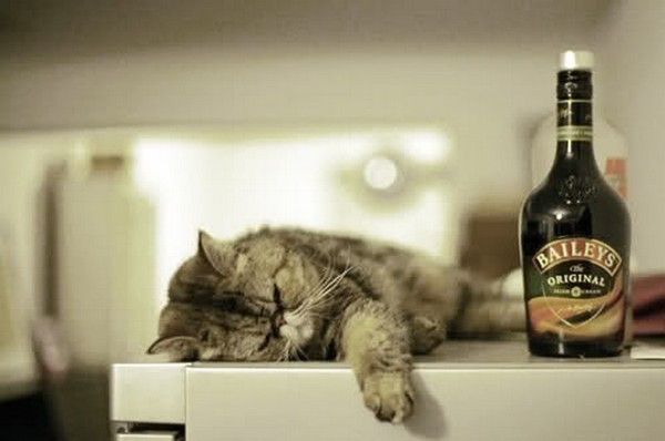 une ti chotte..hi.hi..
