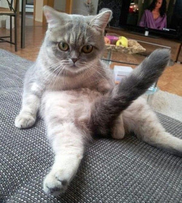 Ok....je sais.....!!!