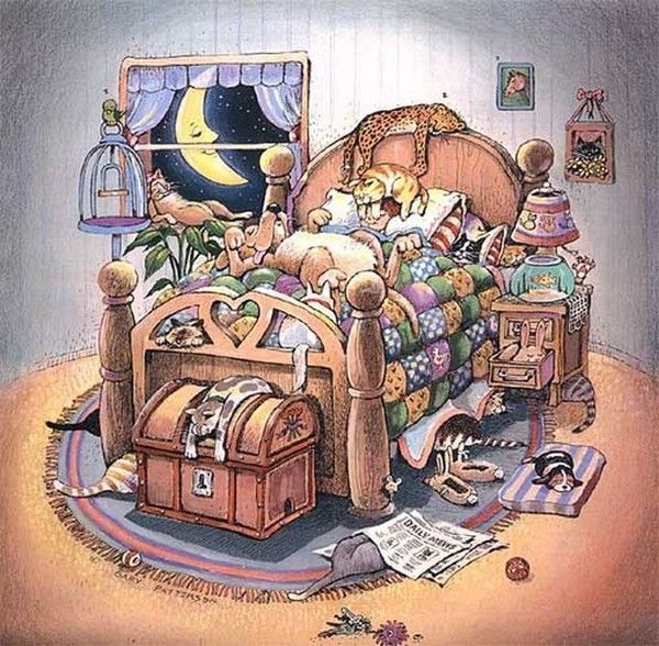 en plus une nuit