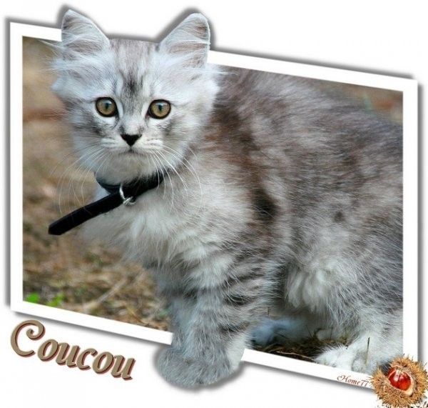 Un coucou..vite vite