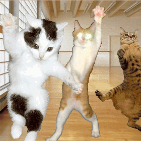 Dancing_cats.gif