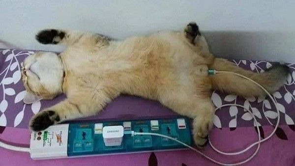 vite on recharge