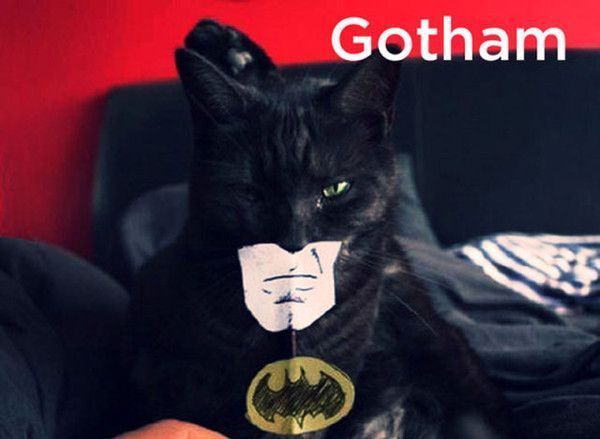 parodie de Batman...