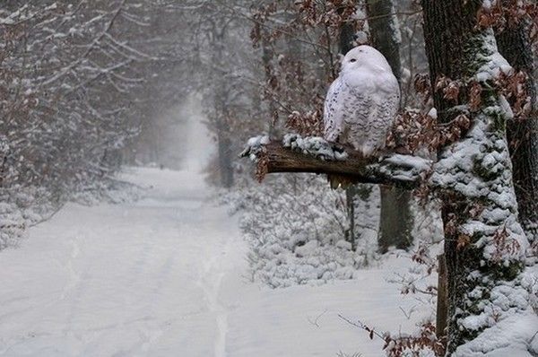 une promenade