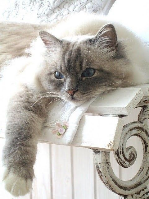 Journée...Nase...!!!
