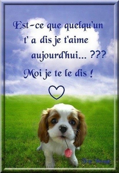 je....t'aime