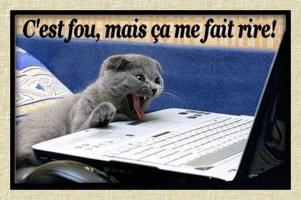 mort de rire...