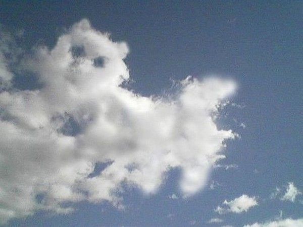un nuage chat