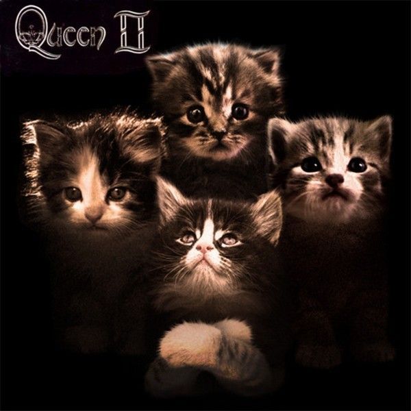 the Queen