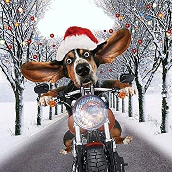 noël de biker