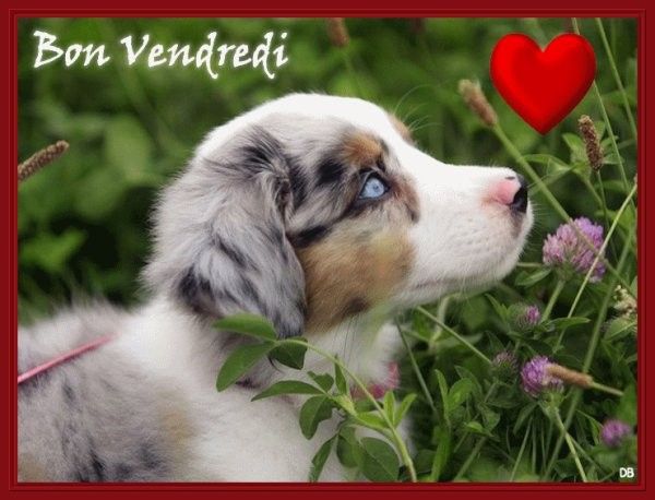 Soyez plein d'amour....hihi..