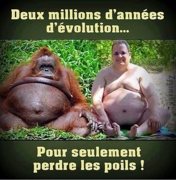 évoultion