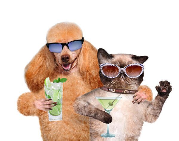 bonne apéro