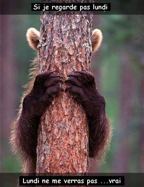 Faits toi en pas....