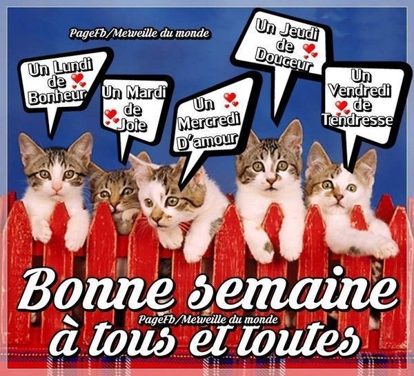 plein de souhaits