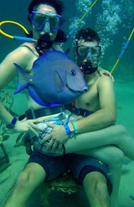 Censure de poisson