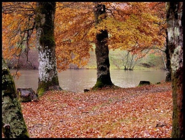 Paysage automne