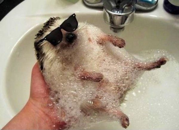Un bon car wash..hi.hi..