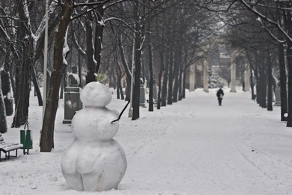 Un autre beau bonhomme