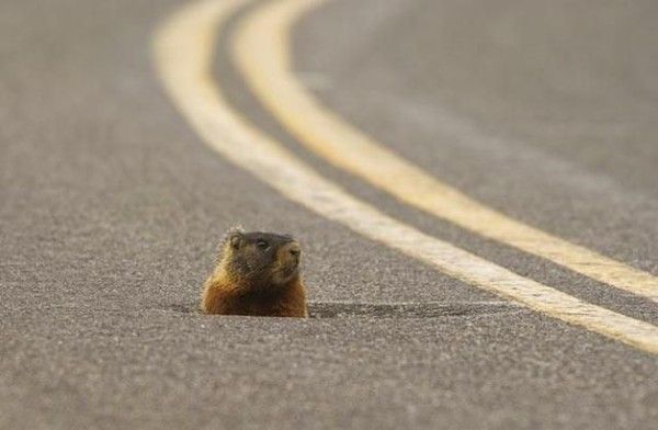 Endroit insolite......