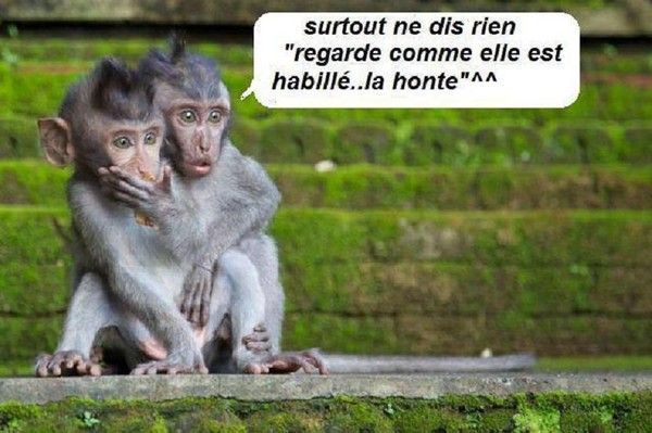 Un peut humour