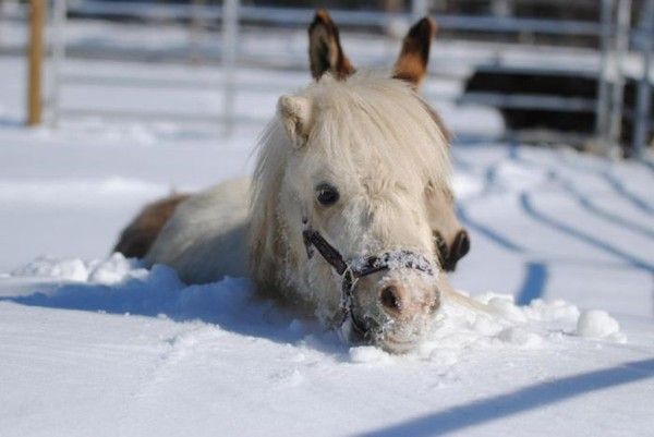 Te l'avait dit bateinche...hi.hi..
