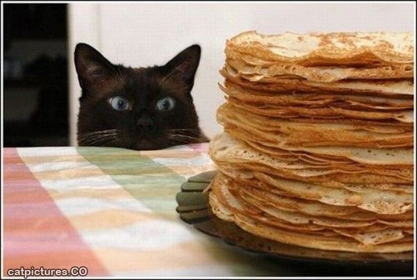 Moi j'opte pour les pancakes...