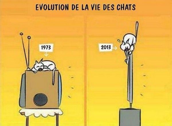 évolution...hi..hi..