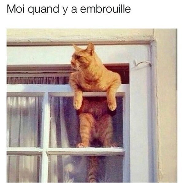 surtout...chez