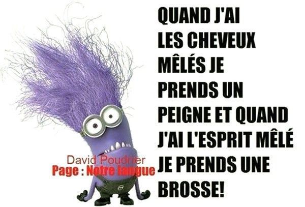 une brosse ..hi.hi..