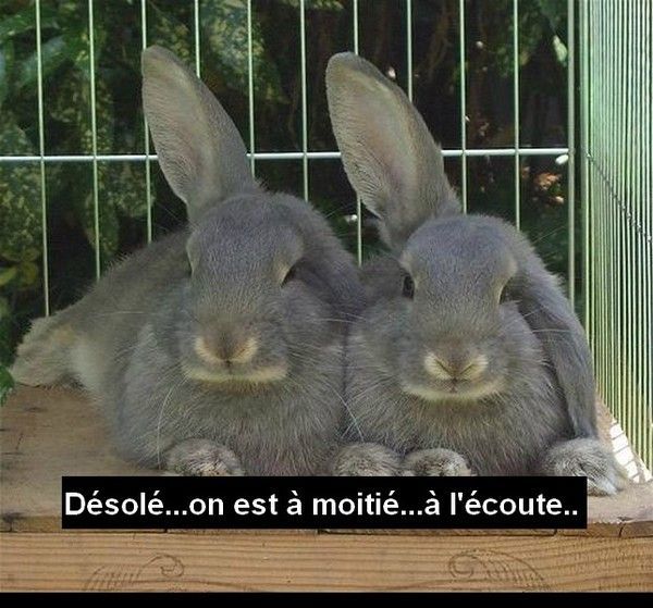 Vous avez fait....des demandes...