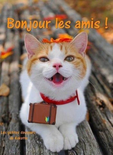 et je vous dis un 