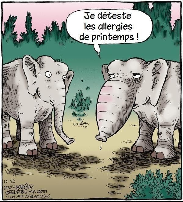 ces aussi..hi.hi..