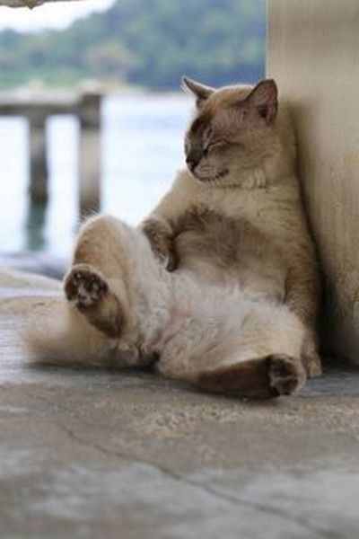 je relax