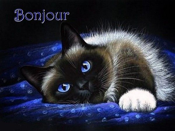 bonjour