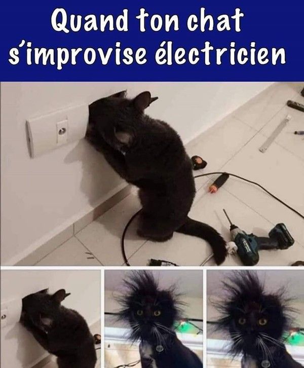 chat electro