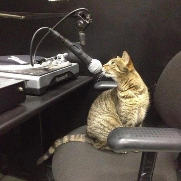 apporte moi...les paroles..hi.hi..