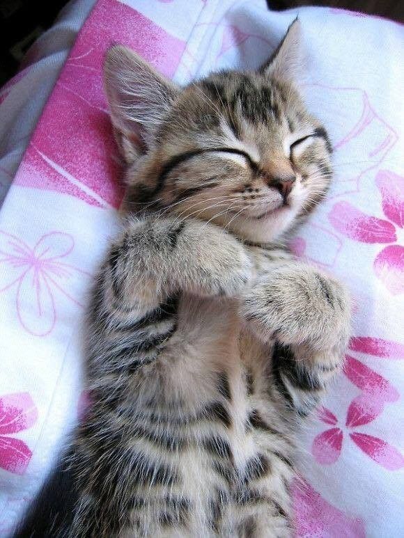 envie de dodo..