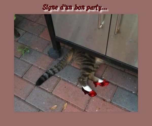 Bon party des fêtes..hi.hi..