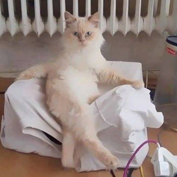 aujourd'hui..hi.hi...