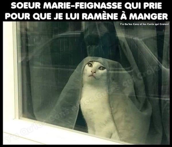prions....
