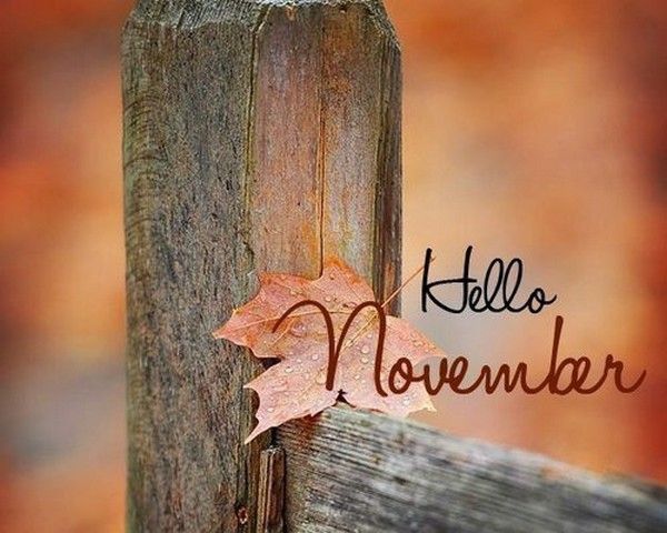 Bienvenue novembre