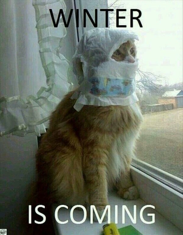 hiver arrive